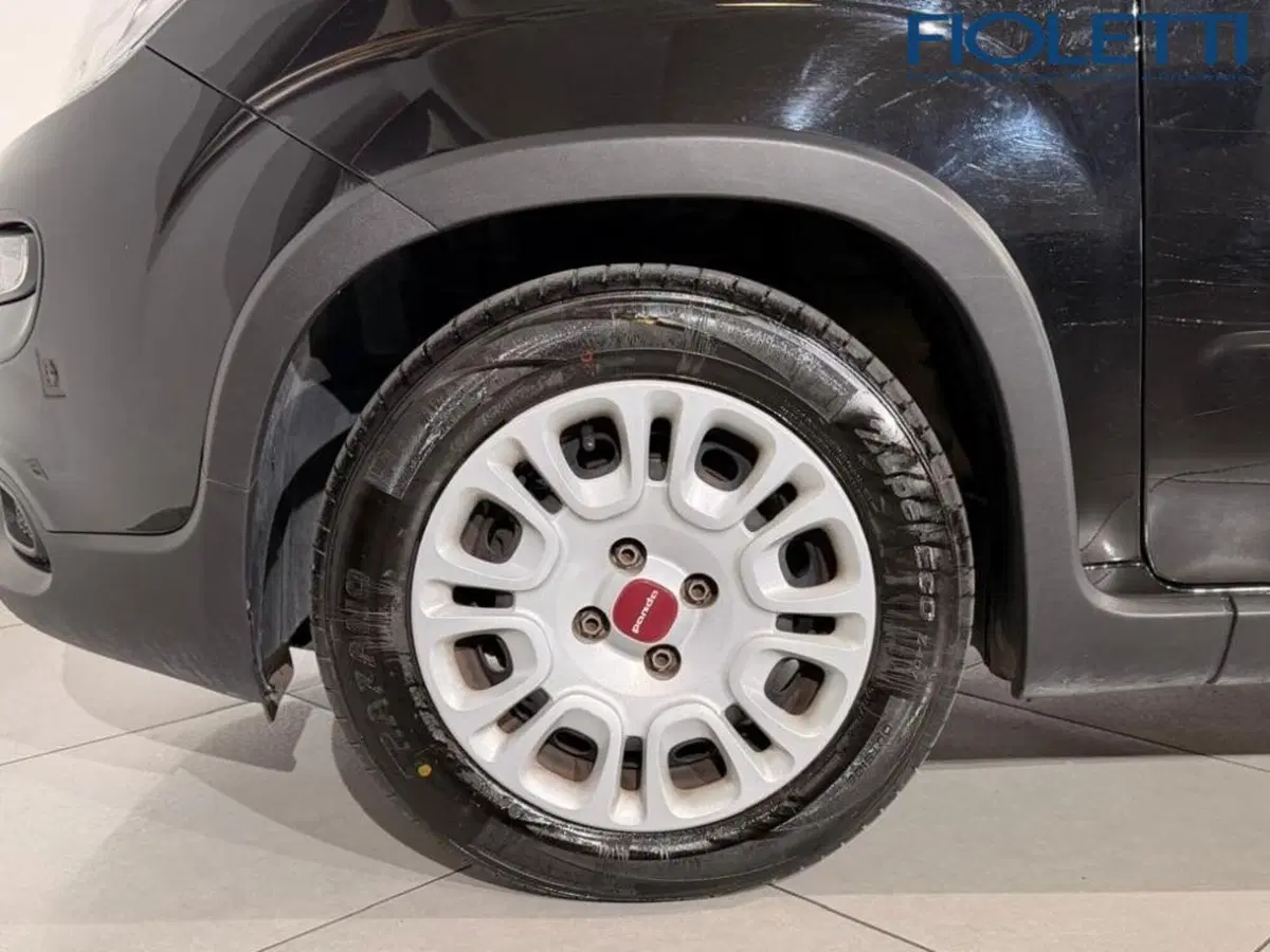 Fiat Panda Cross usata a Brescia (11)
