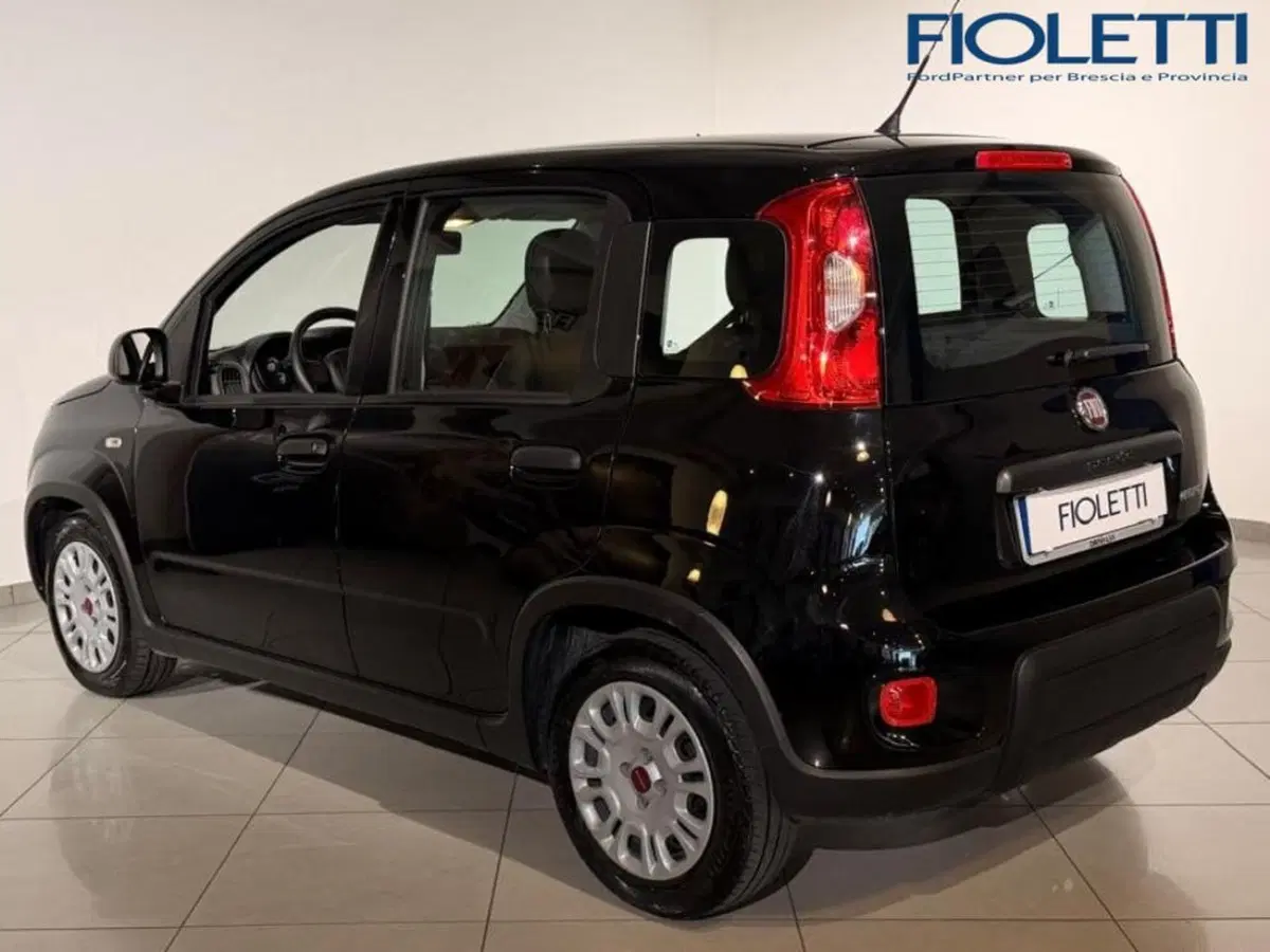 Fiat Panda Cross usata a Brescia (2)
