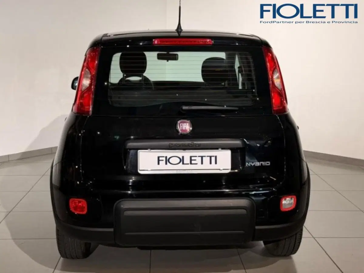 Fiat Panda Cross usata a Brescia (5)