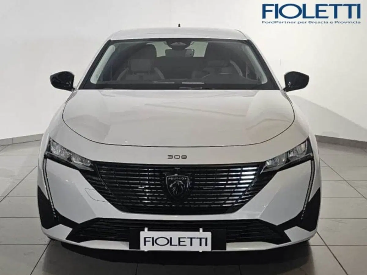 Peugeot 308 SW usata a Brescia (3)