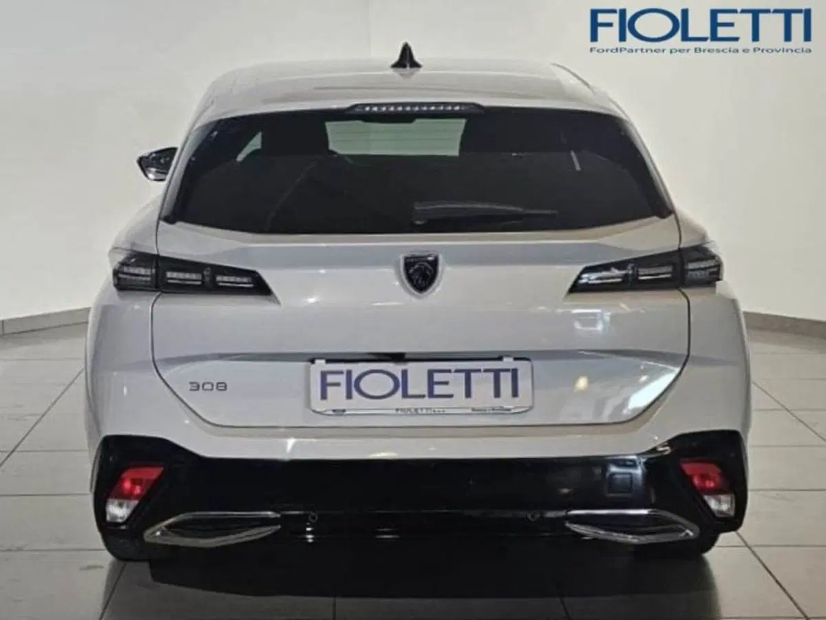 Peugeot 308 SW usata a Brescia (5)