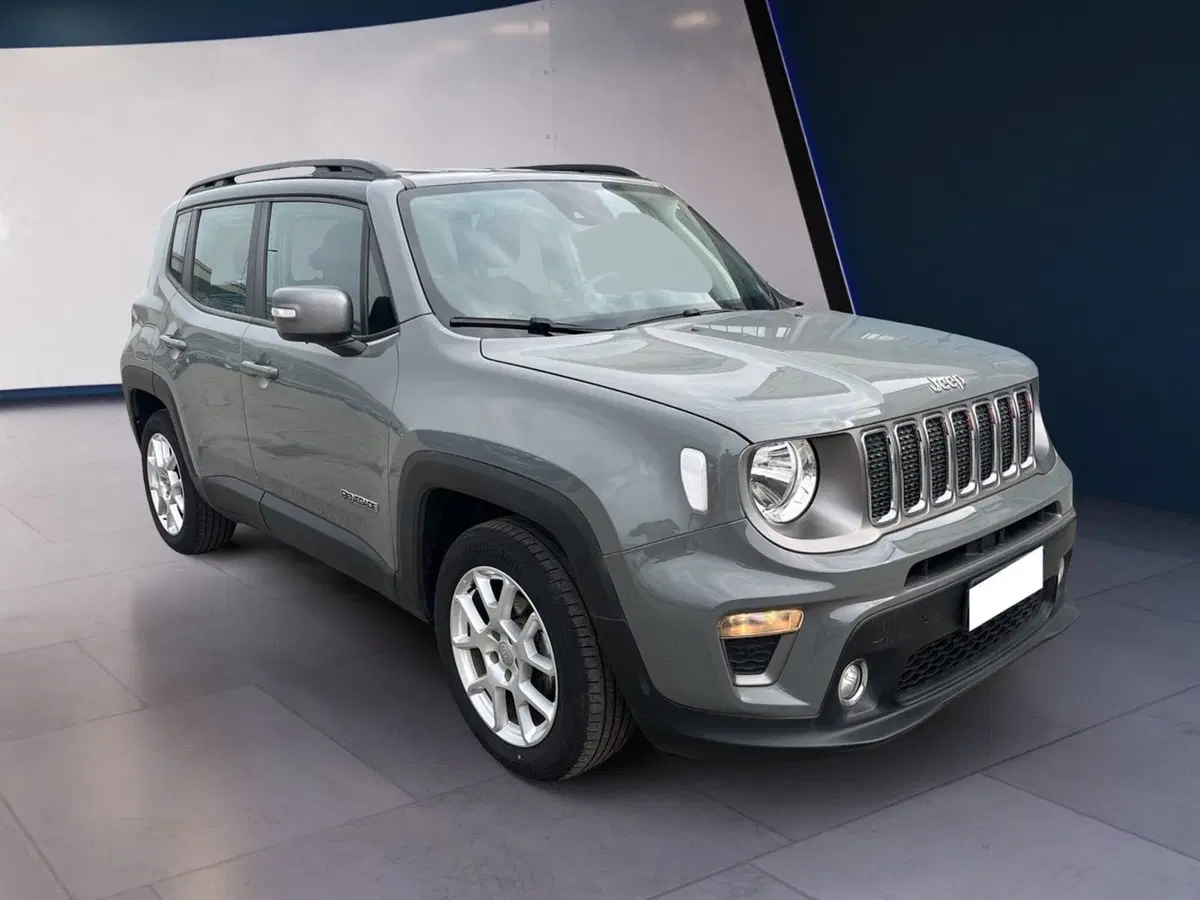 Jeep Renegade usata a Torino (3)