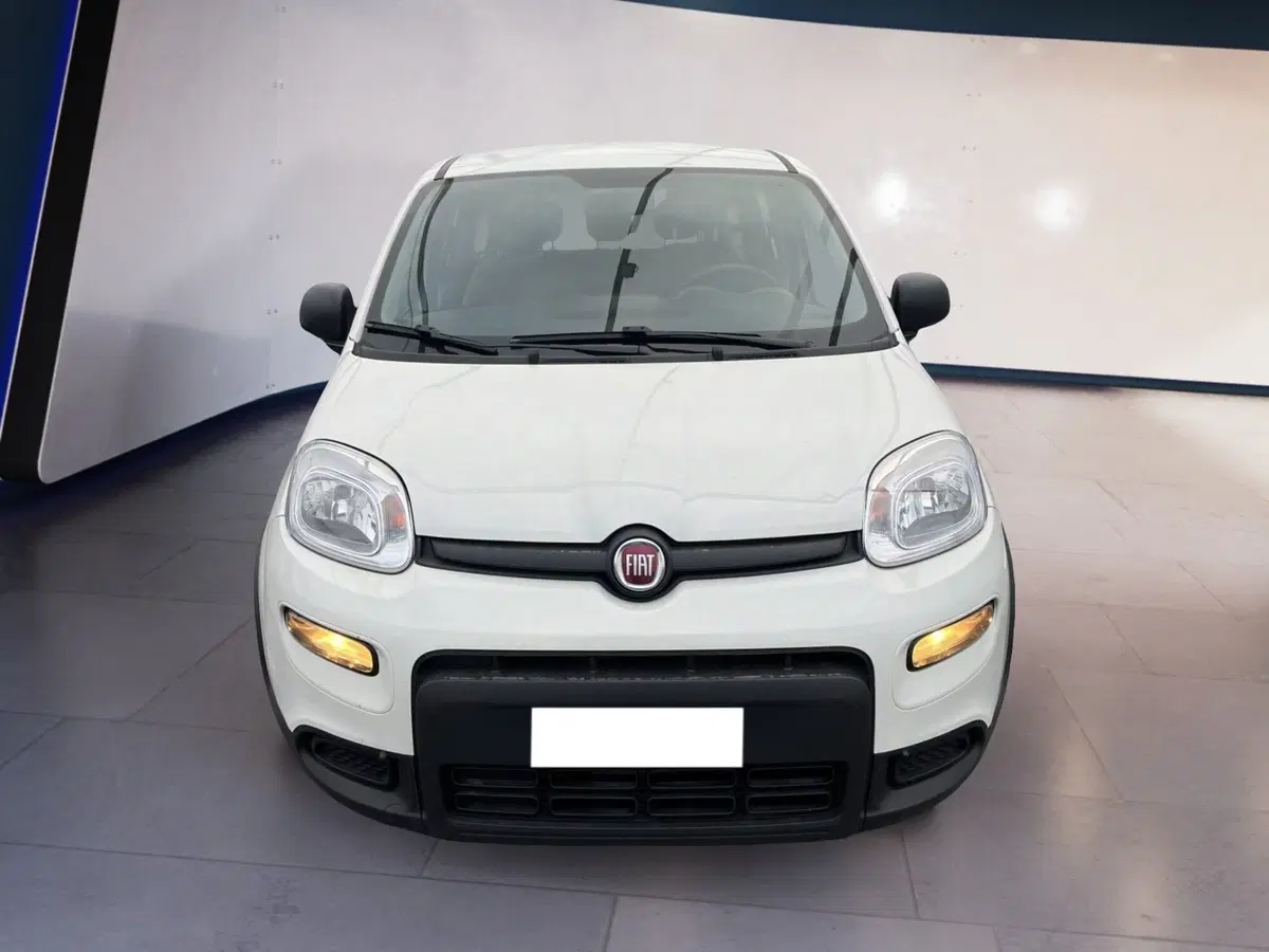 Fiat Panda usata a Torino