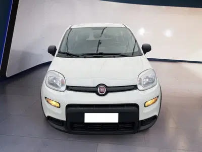 Fiat Panda 1.0 FireFly S&S Hybrid City Cross del 2022 usata a Torino