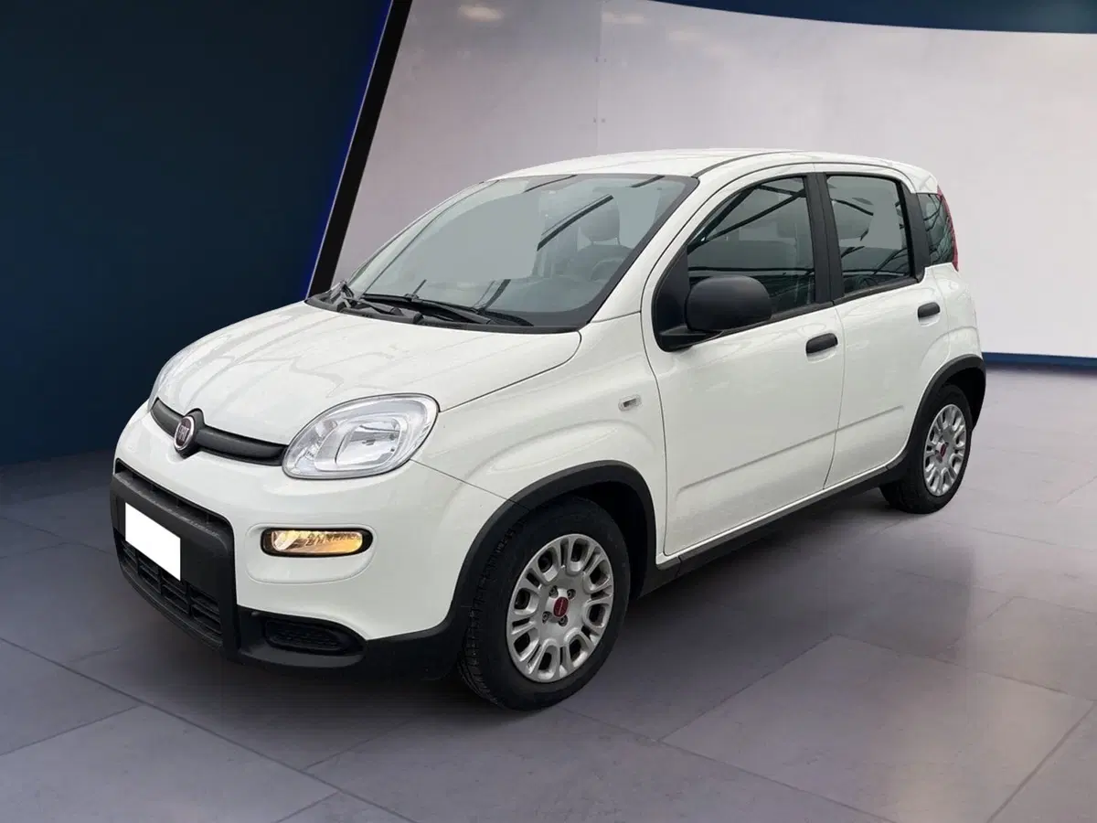 Fiat Panda usata a Torino (2)