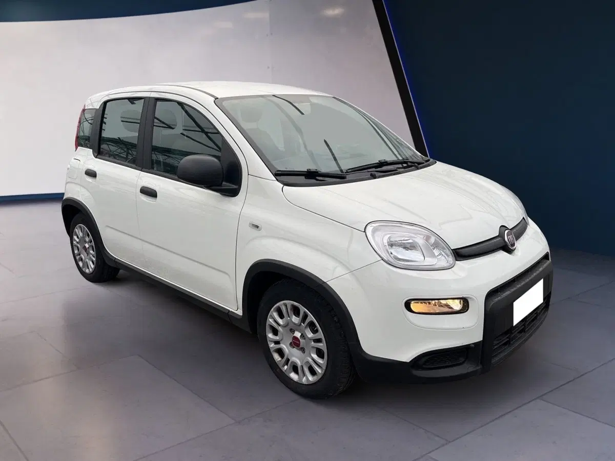 Fiat Panda usata a Torino (3)