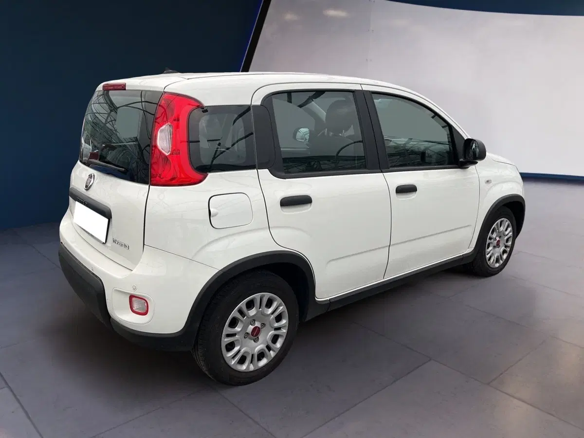 Fiat Panda usata a Torino (4)