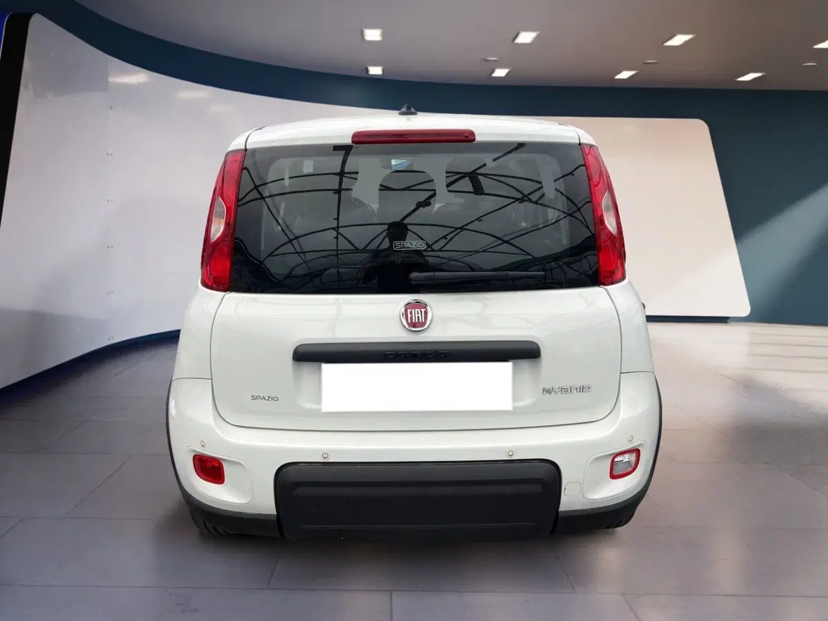 Fiat Panda usata a Torino (5)