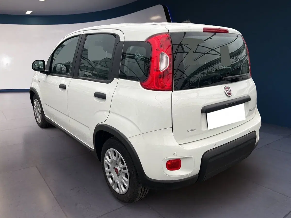 Fiat Panda usata a Torino (6)