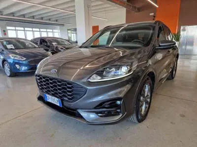 Ford Kuga 1.5 EcoBoost 150 CV 2WD ST-Line del 2023 usata a Imola