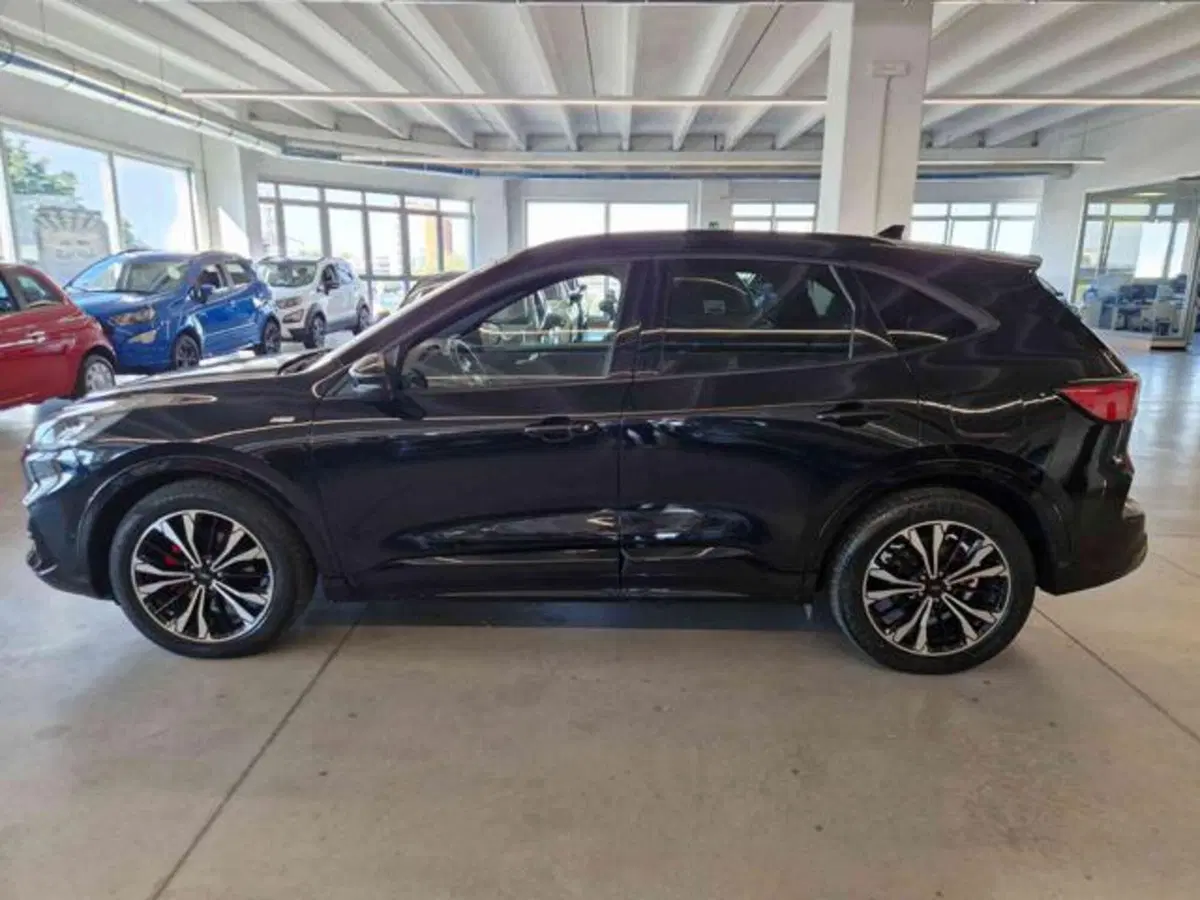 Ford Kuga usata a Bologna (6)