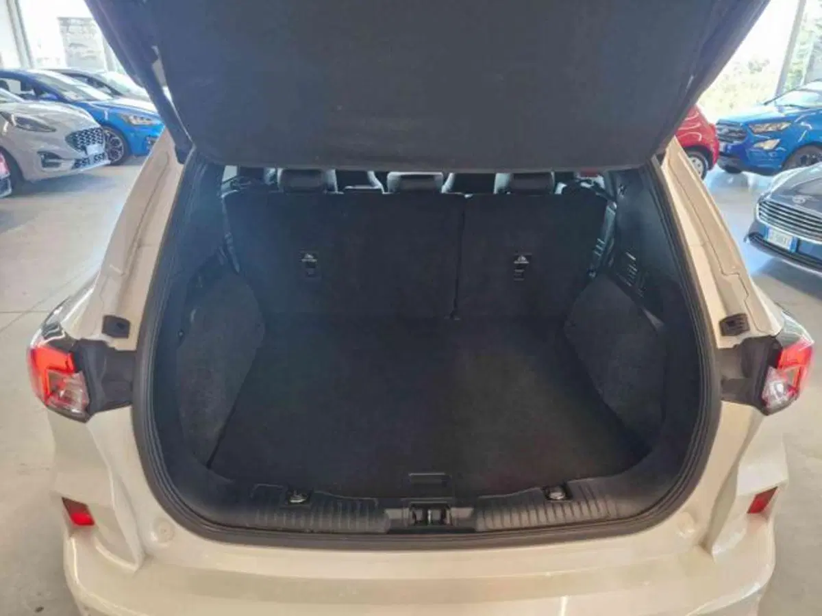 Ford Kuga usata a Bologna (15)