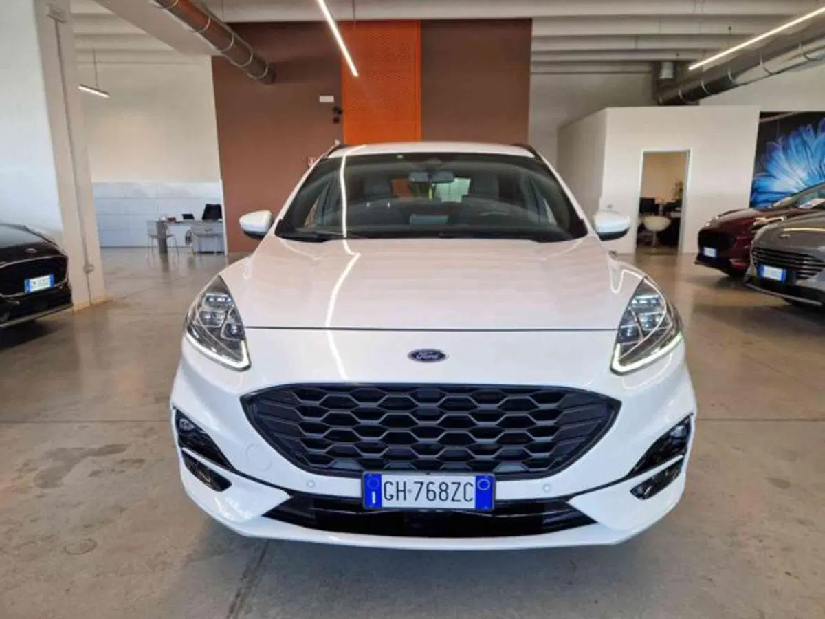 Ford Kuga usata a Bologna (2)