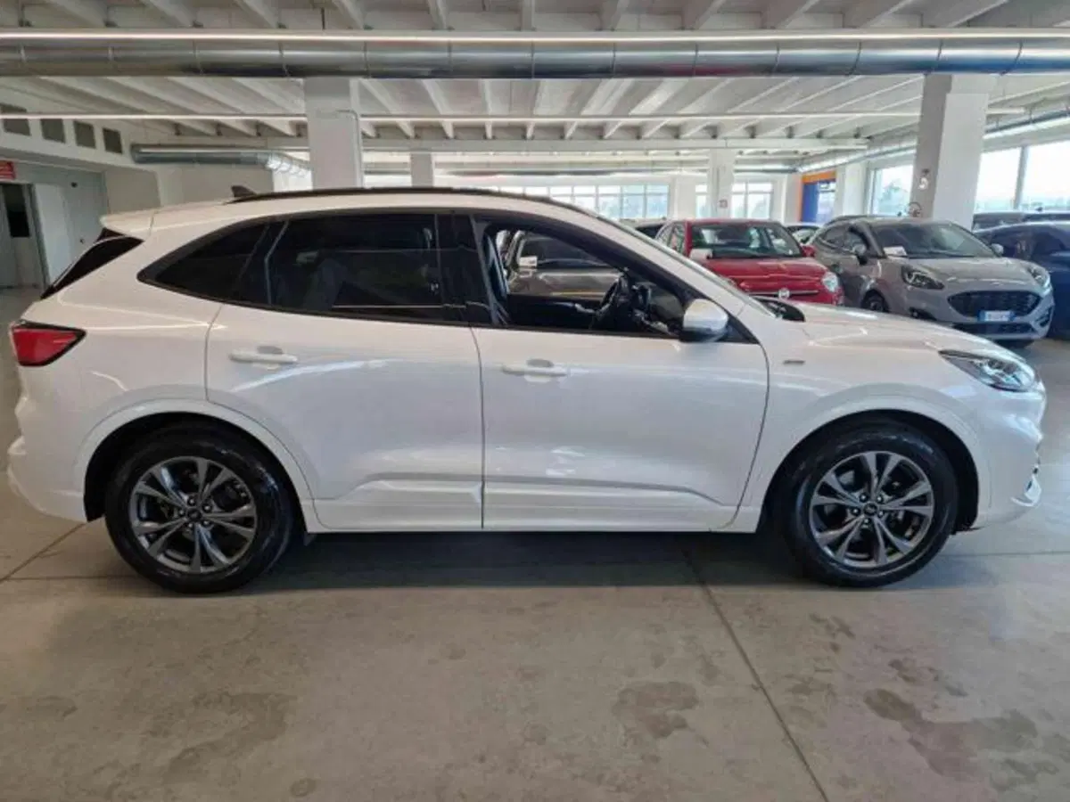 Ford Kuga usata a Bologna (4)