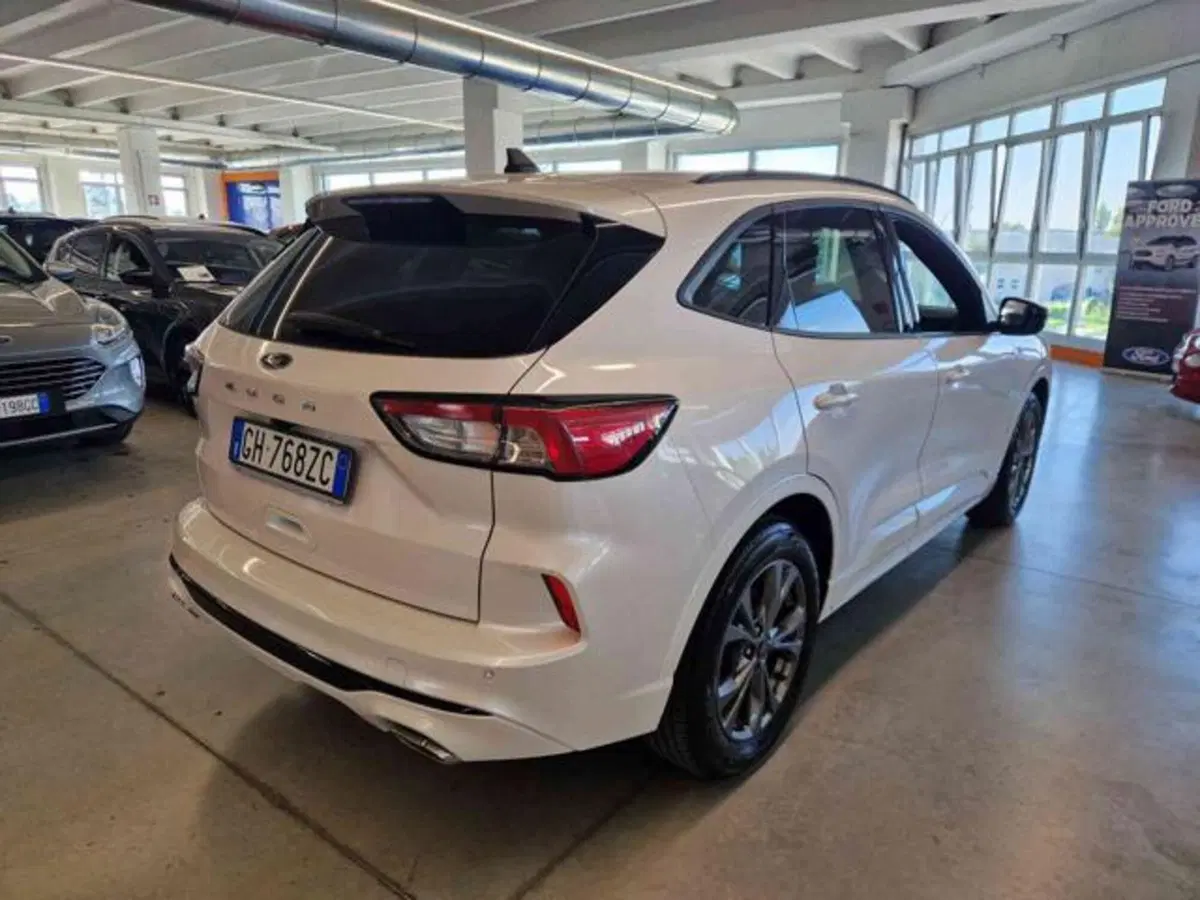 Ford Kuga usata a Bologna (5)