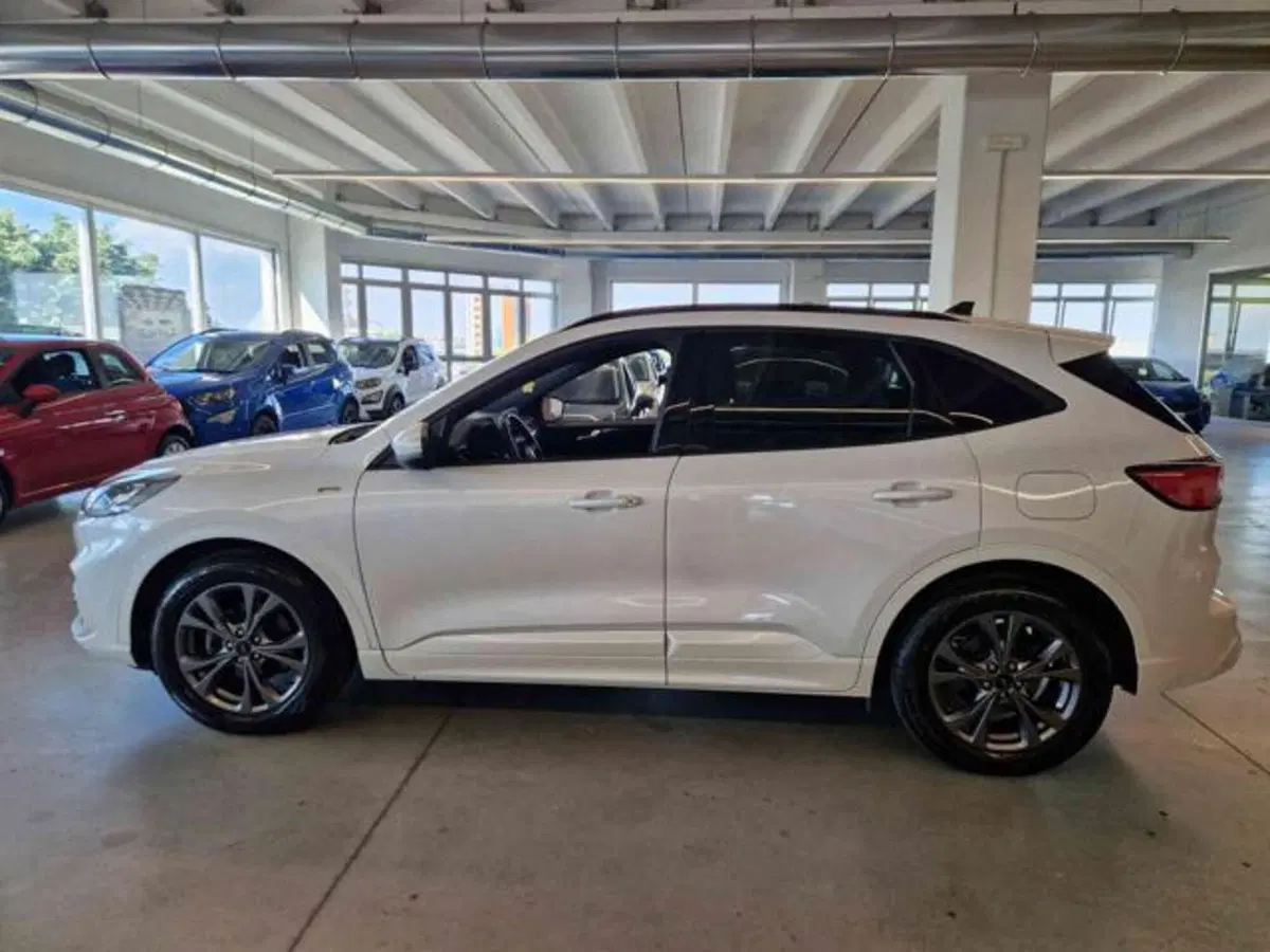 Ford Kuga usata a Bologna (7)