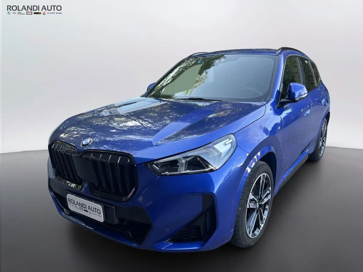 BMW X1 usata a Alessandria