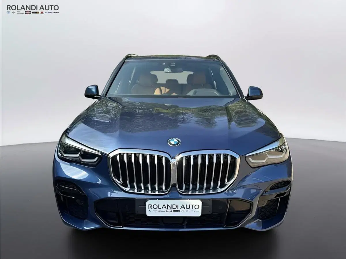 BMW X5 usata a Alessandria (6)