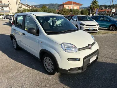 Fiat Panda Cross Cross 1.0 FireFly S&S Hybrid del 2023 usata a La Spezia