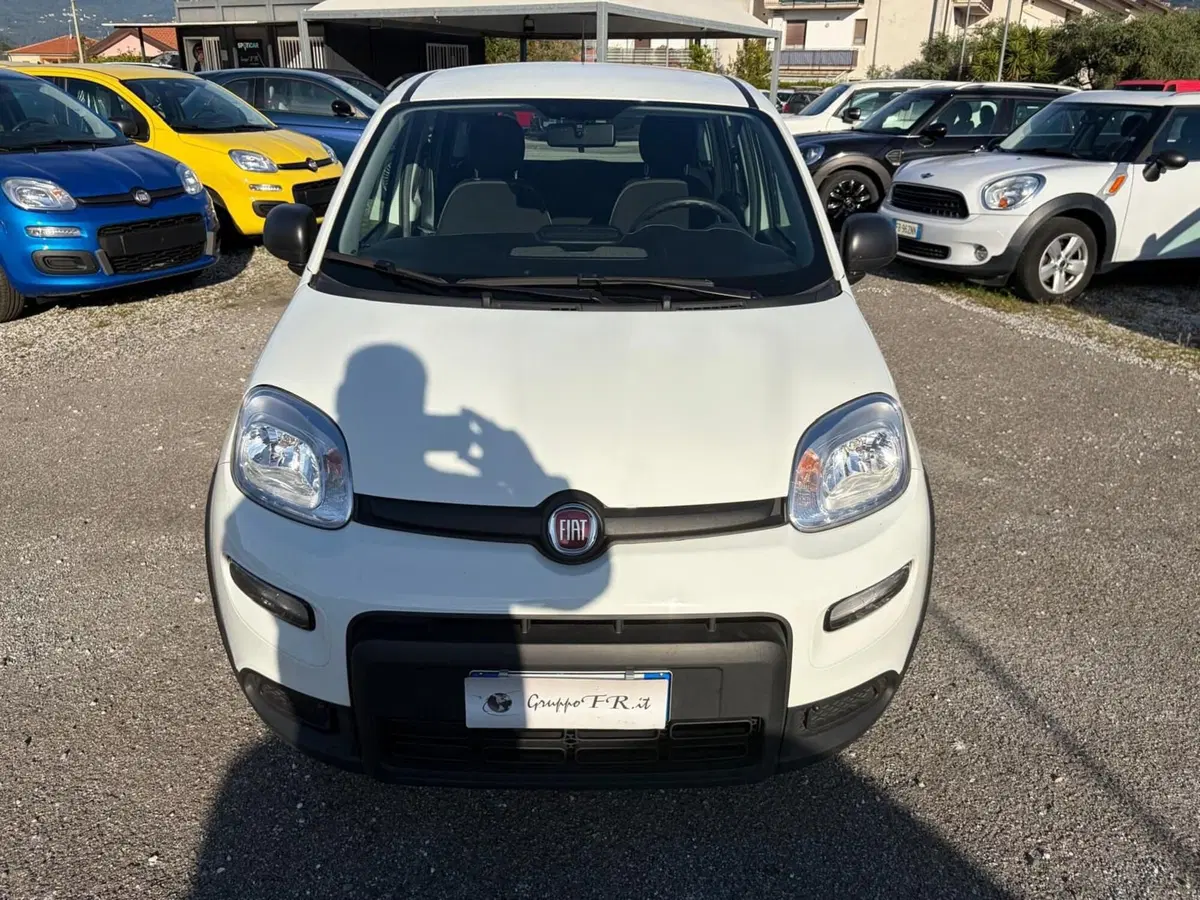 Fiat Panda Cross usata a La Spezia (2)