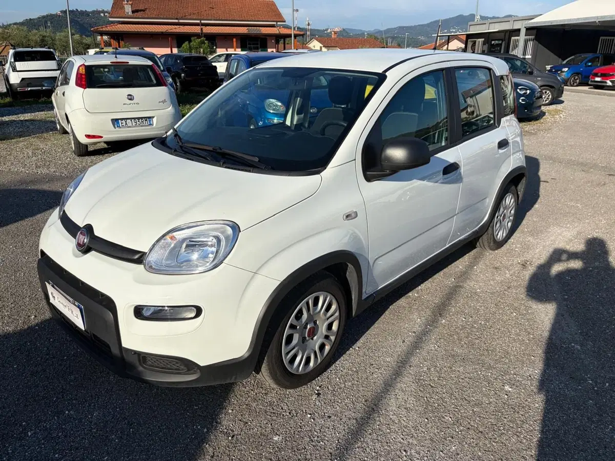 Fiat Panda Cross usata a La Spezia (3)