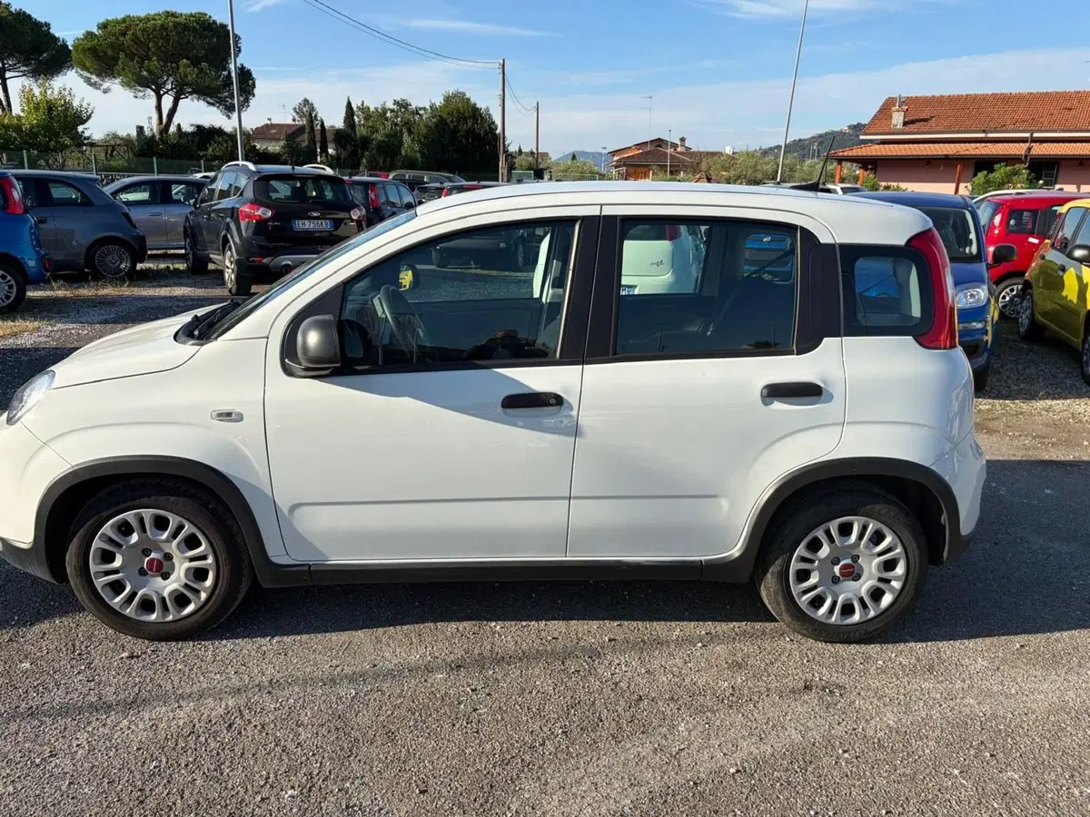 Fiat Panda Cross usata a La Spezia (4)