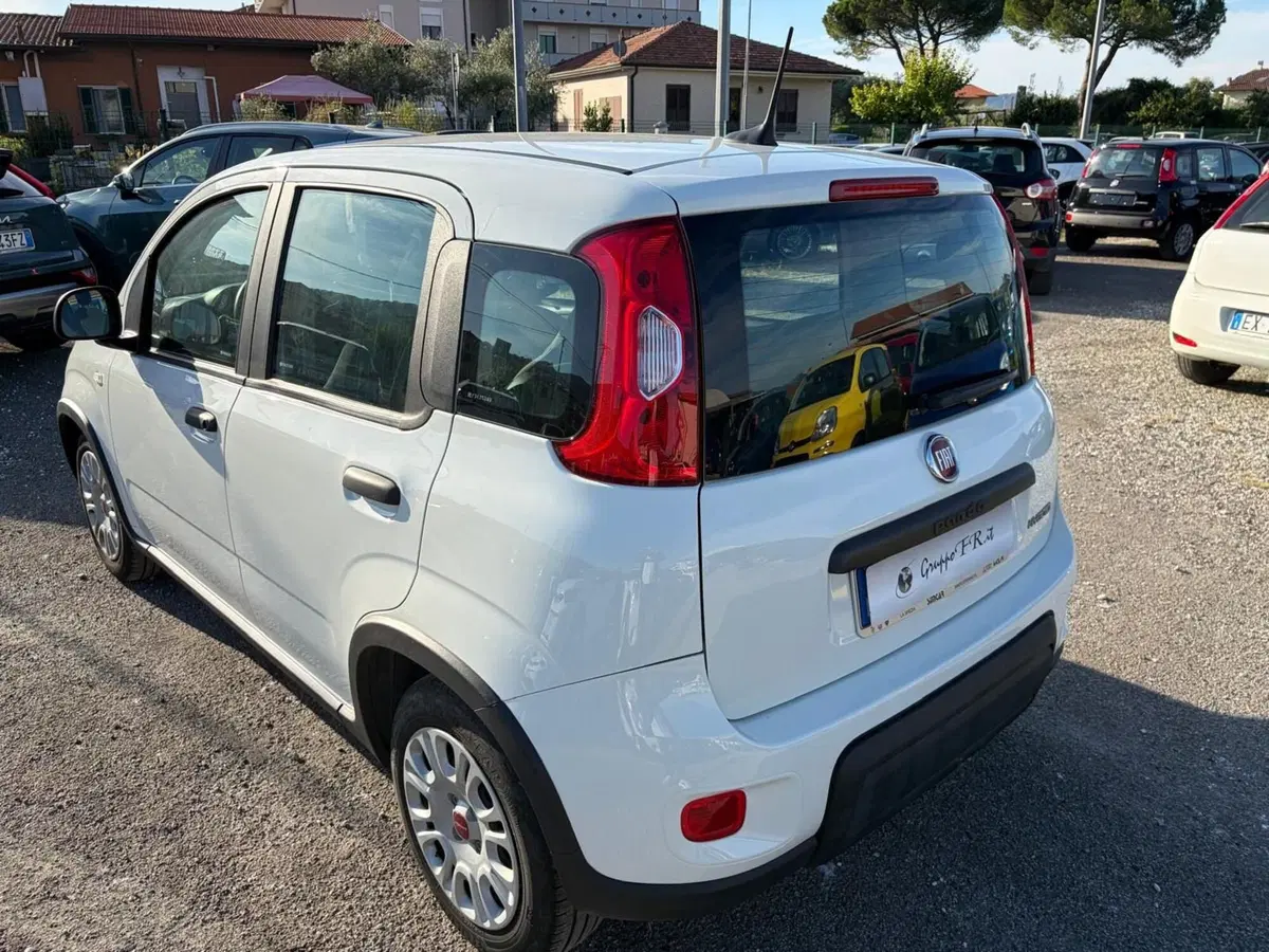 Fiat Panda Cross usata a La Spezia (5)