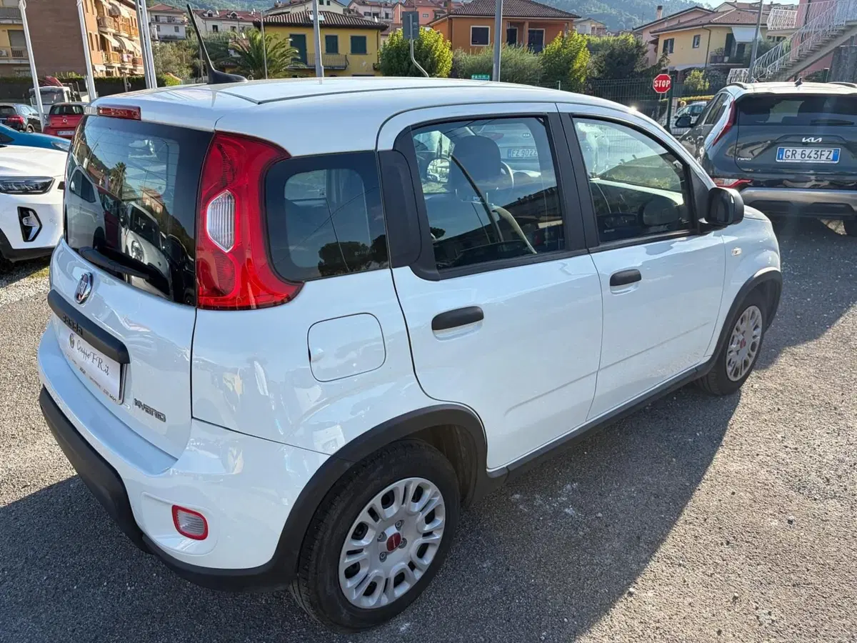 Fiat Panda Cross usata a La Spezia (7)