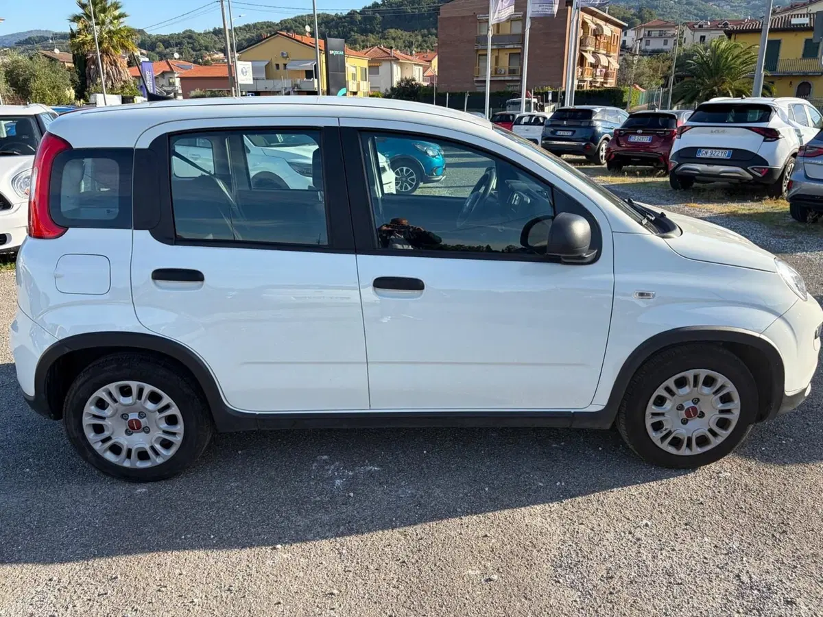 Fiat Panda Cross usata a La Spezia (8)