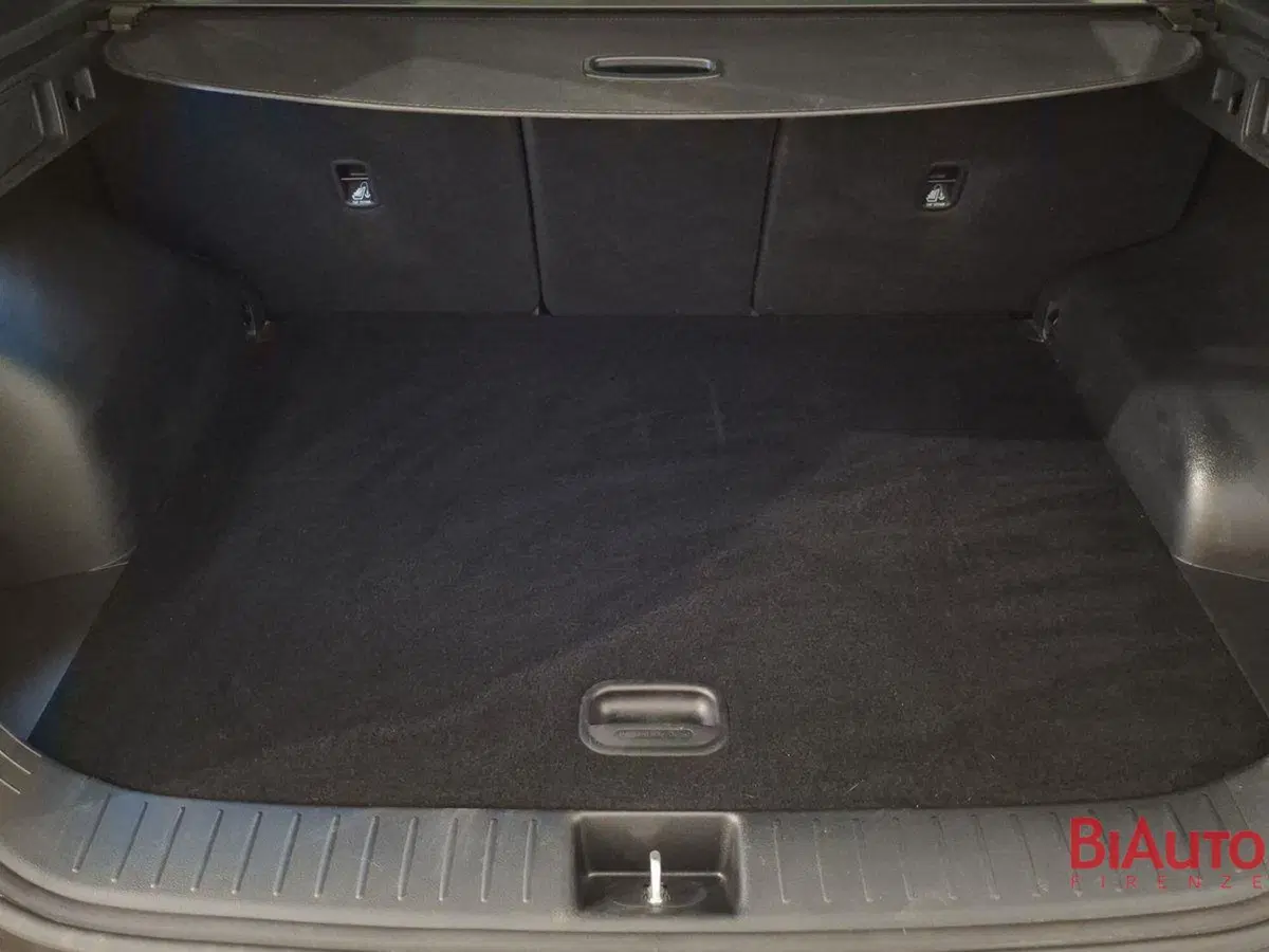 Kia Sportage usata a Firenze (5)