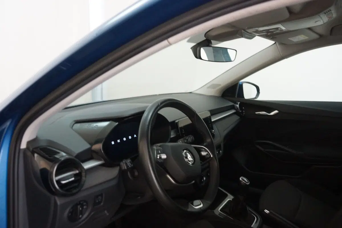 Skoda Fabia usata a Torino (11)