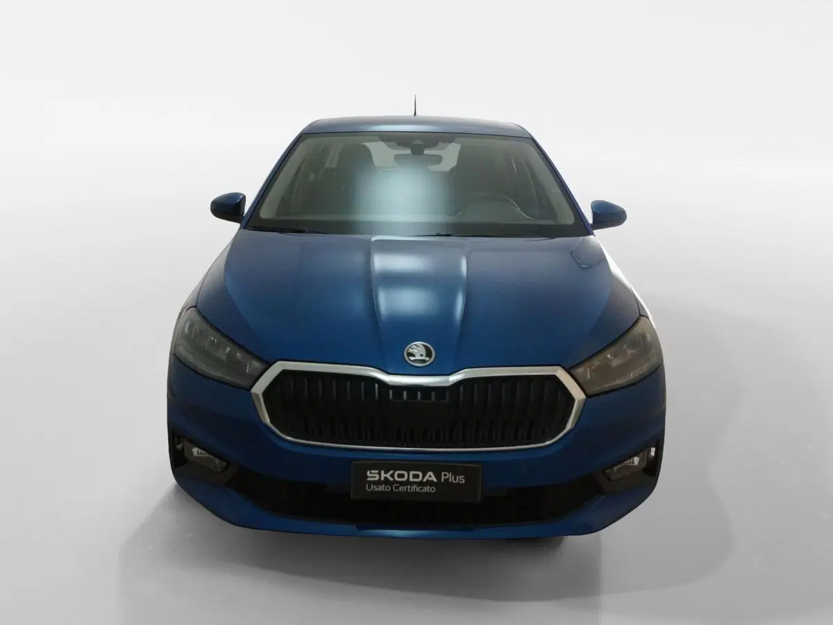 Skoda Fabia usata a Torino (2)