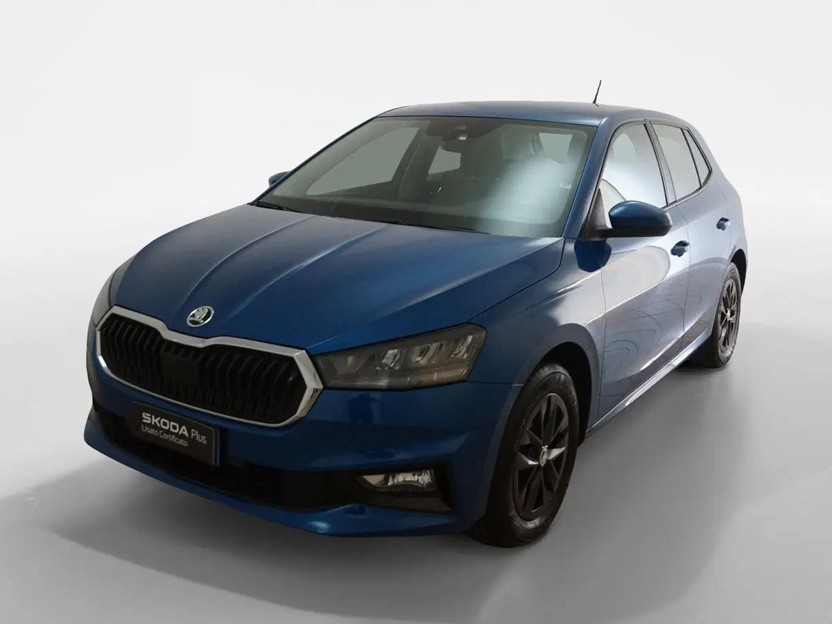 Skoda Fabia usata a Torino (3)
