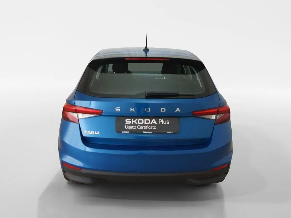 Skoda Fabia usata a Torino (5)