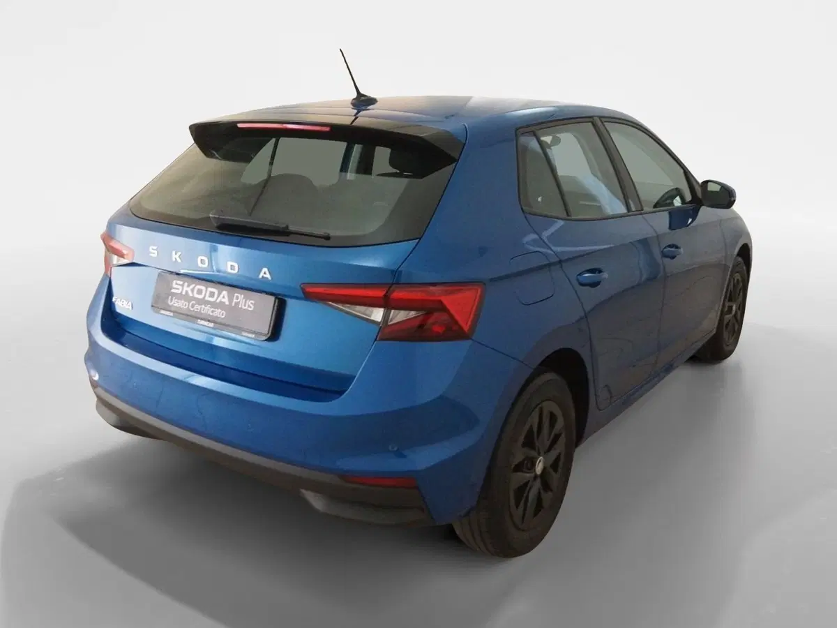Skoda Fabia usata a Torino (6)