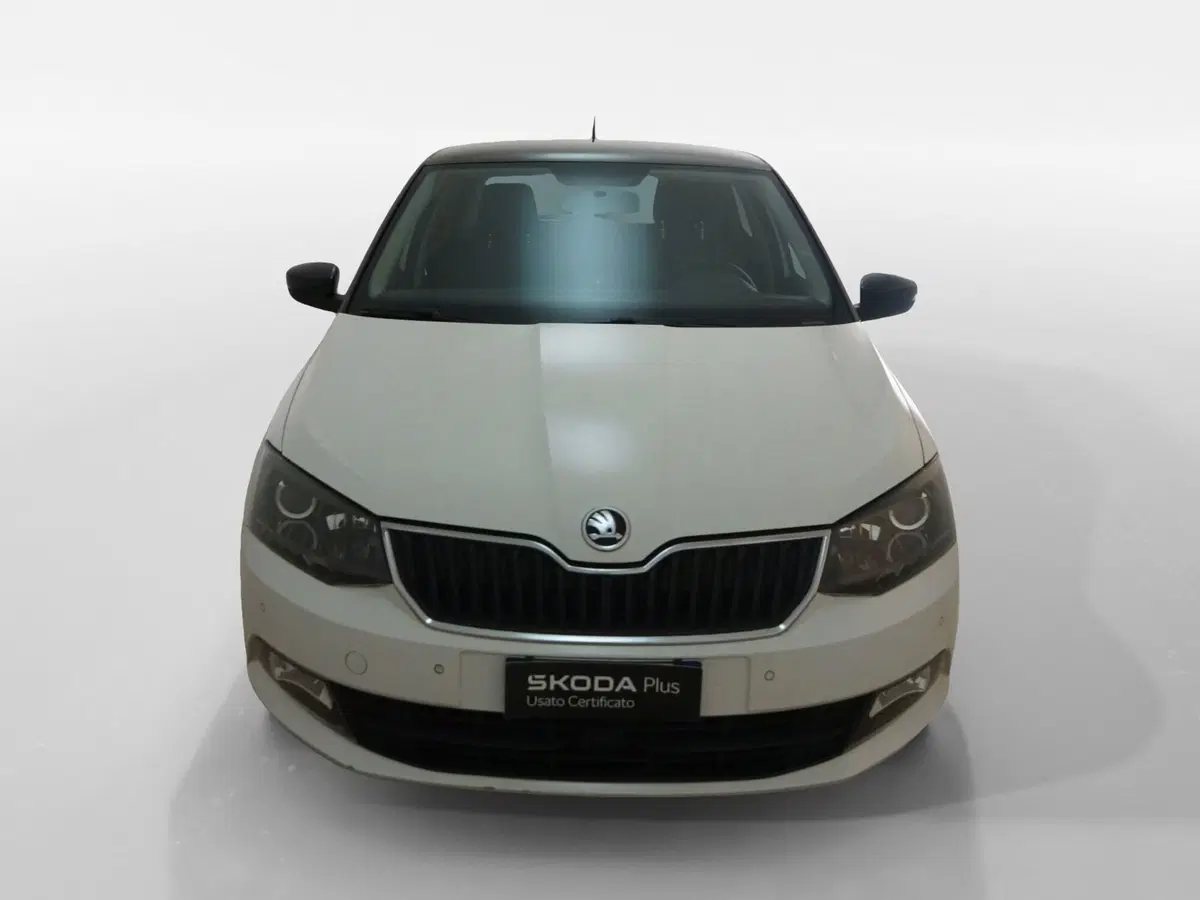 Skoda Fabia usata a Torino (2)