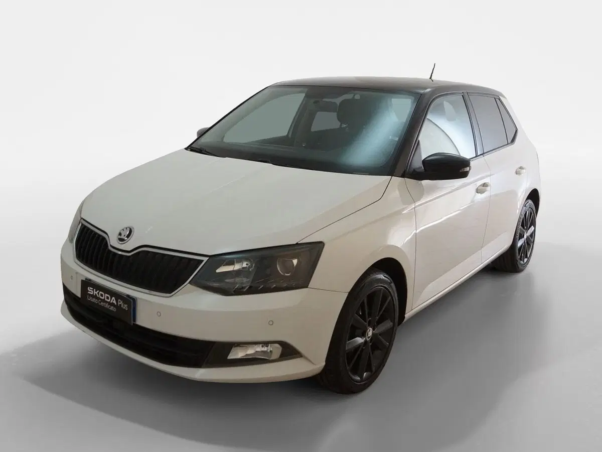 Skoda Fabia usata a Torino (3)