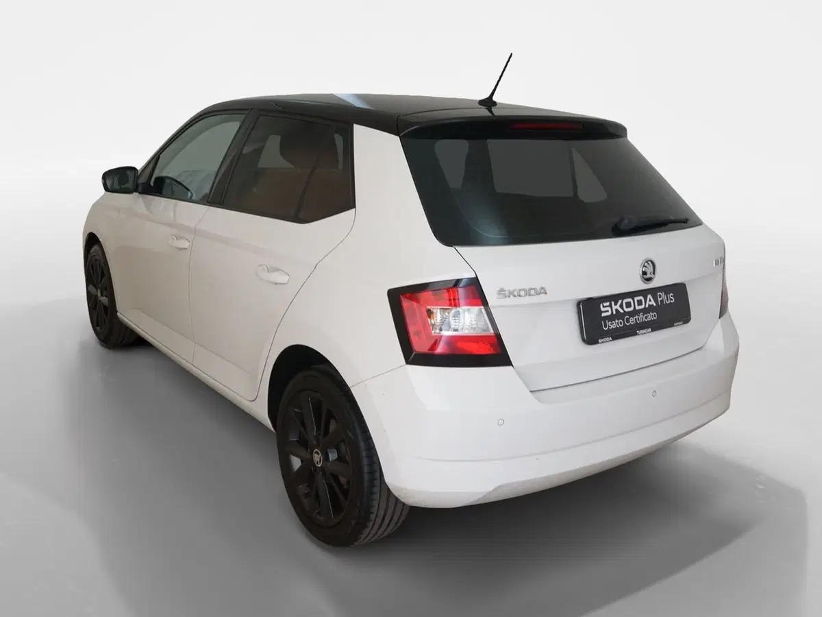 Skoda Fabia usata a Torino (4)