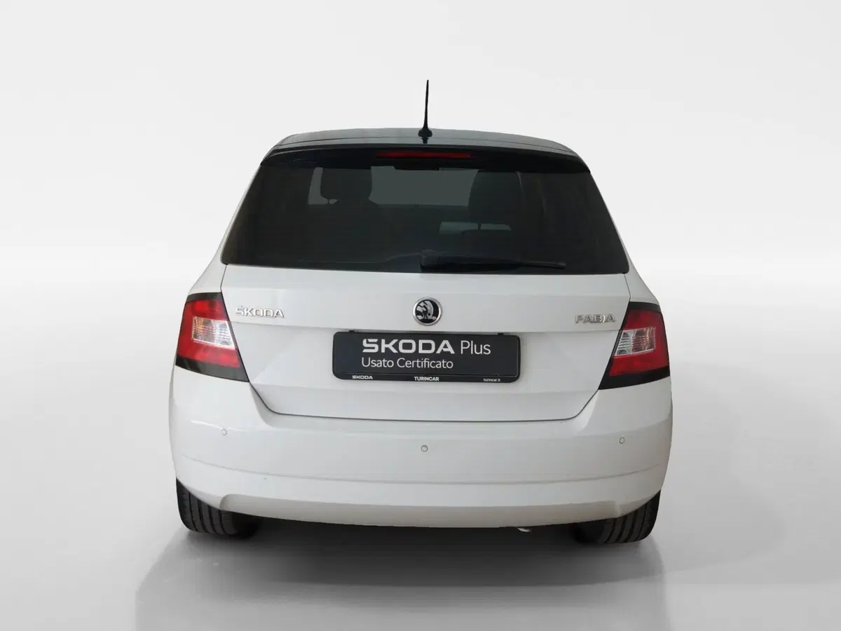 Skoda Fabia usata a Torino (5)