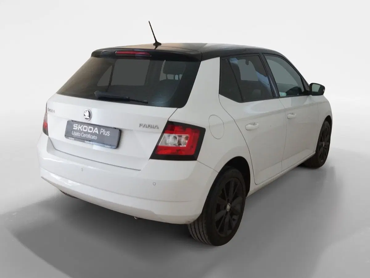 Skoda Fabia usata a Torino (6)