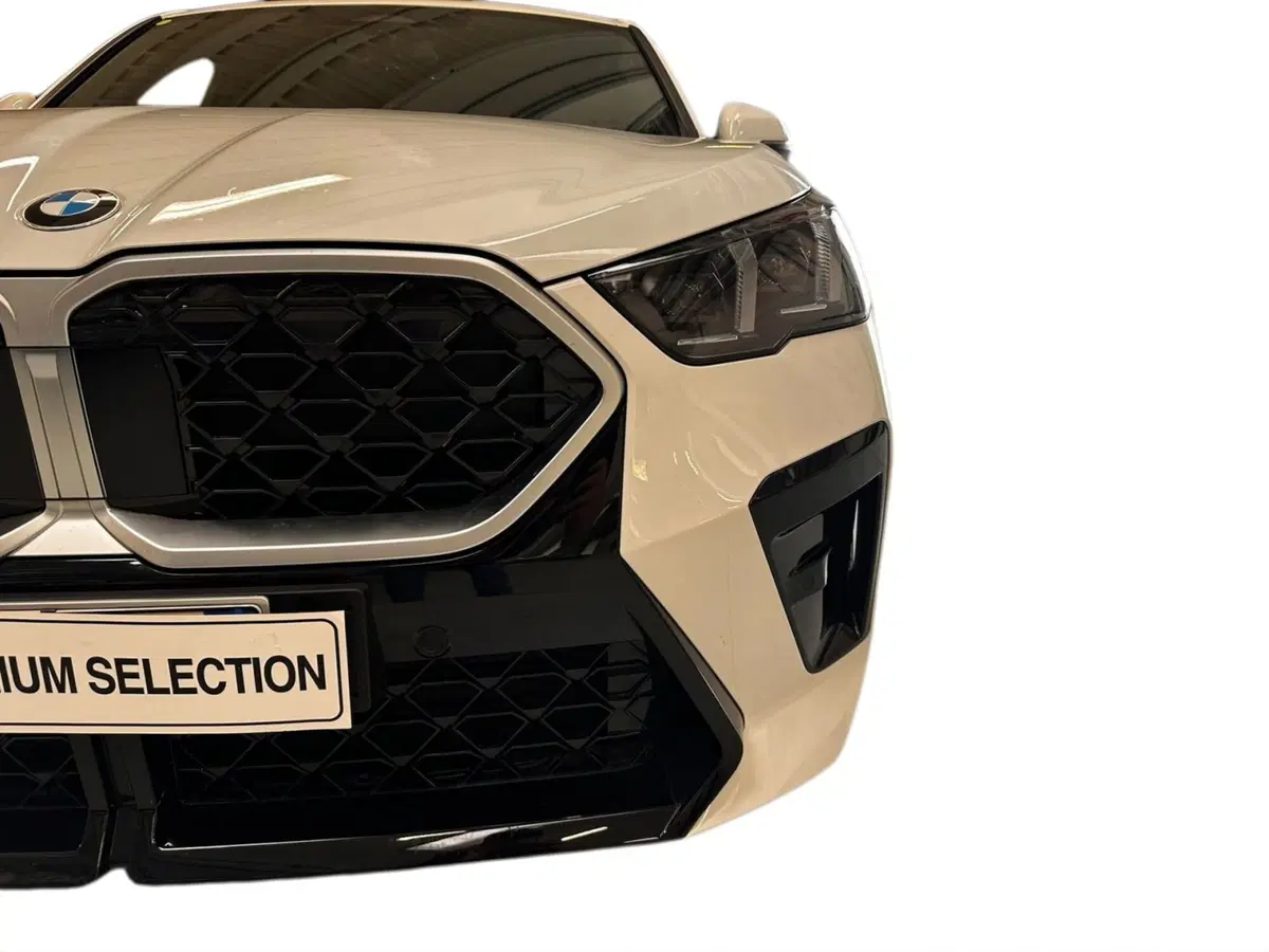 BMW X2 usata a Cuneo (20)