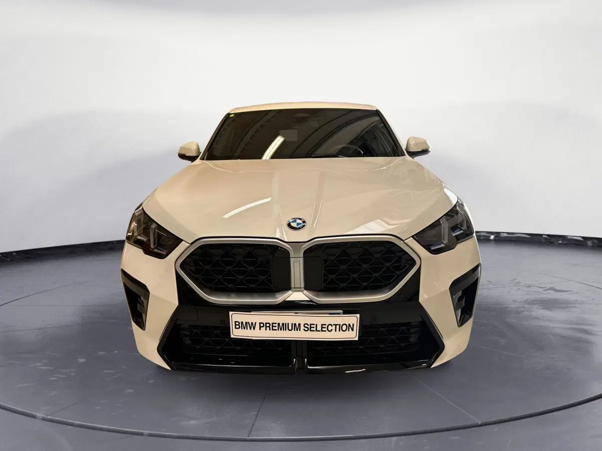 BMW X2 usata a Cuneo (3)