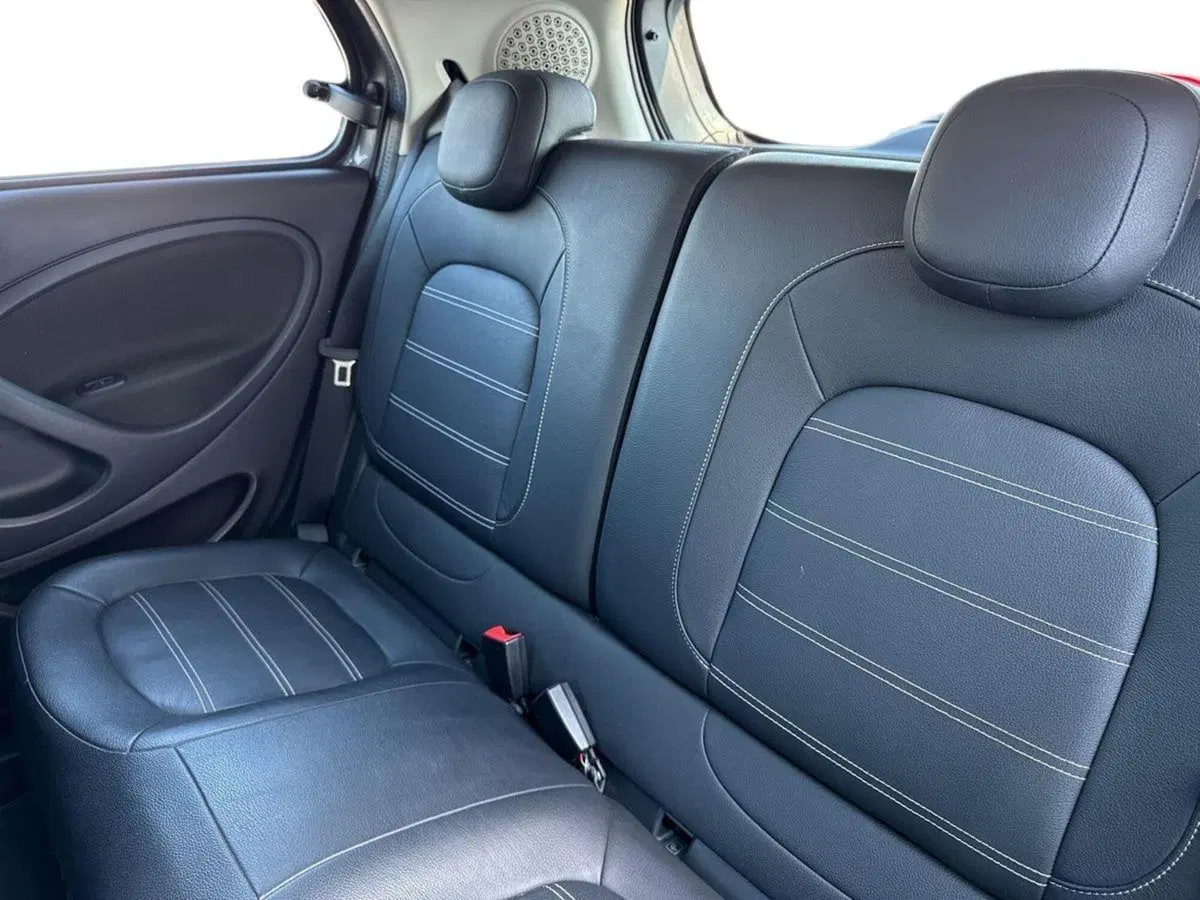 smart forfour usata a Palermo (10)