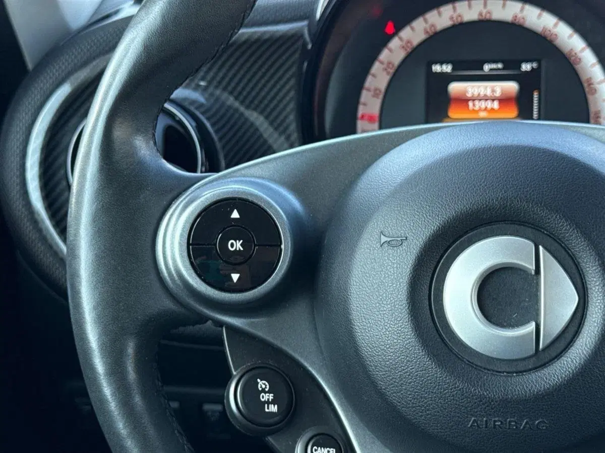 smart forfour usata a Palermo (19)