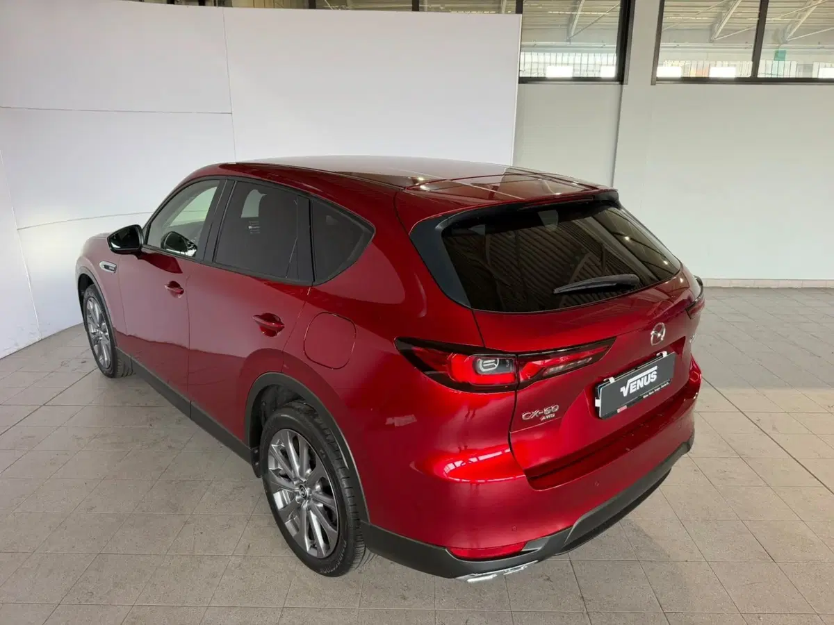 Mazda CX-60 usata a Monza e Brianza (5)