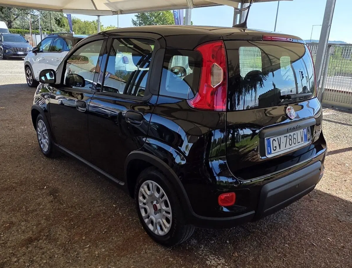 Fiat Panda usata a Firenze (2)