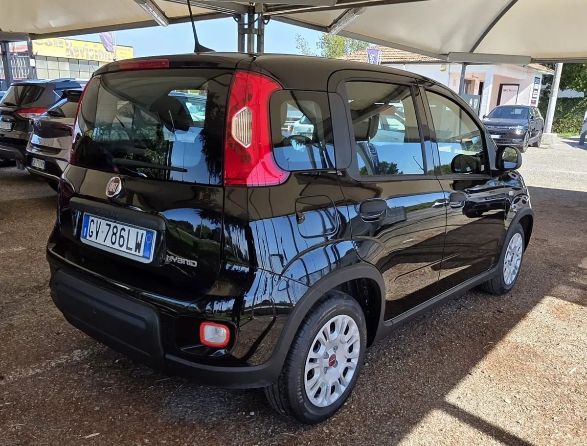 Fiat Panda usata a Firenze (4)