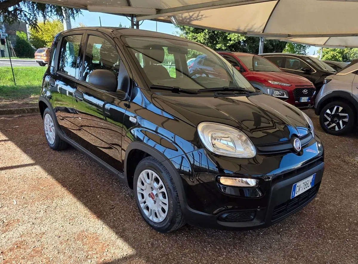 Fiat Panda usata a Firenze (5)