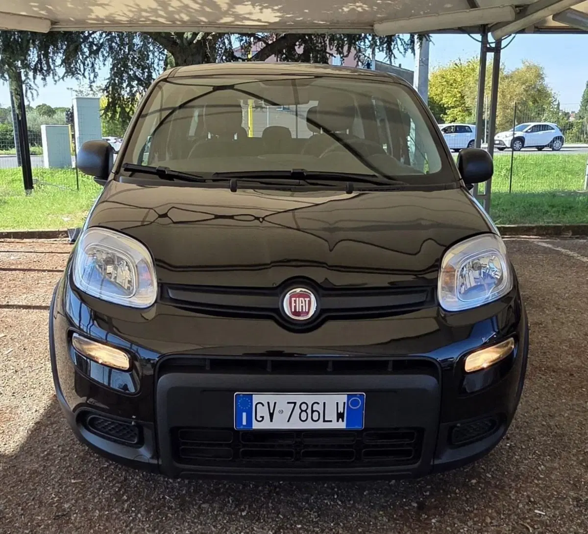 Fiat Panda usata a Firenze (6)