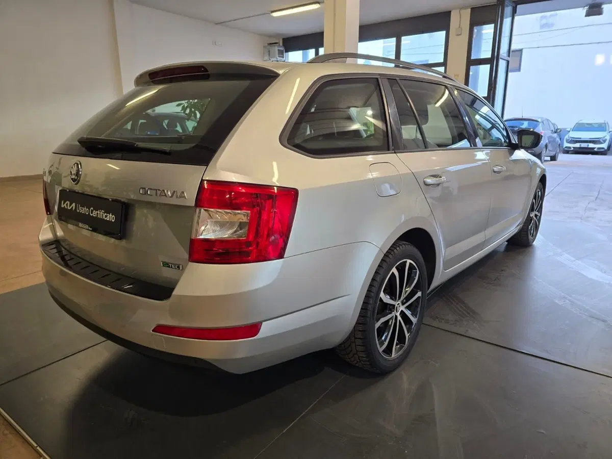 Skoda Octavia Station Wagon usata a Rimini (4)